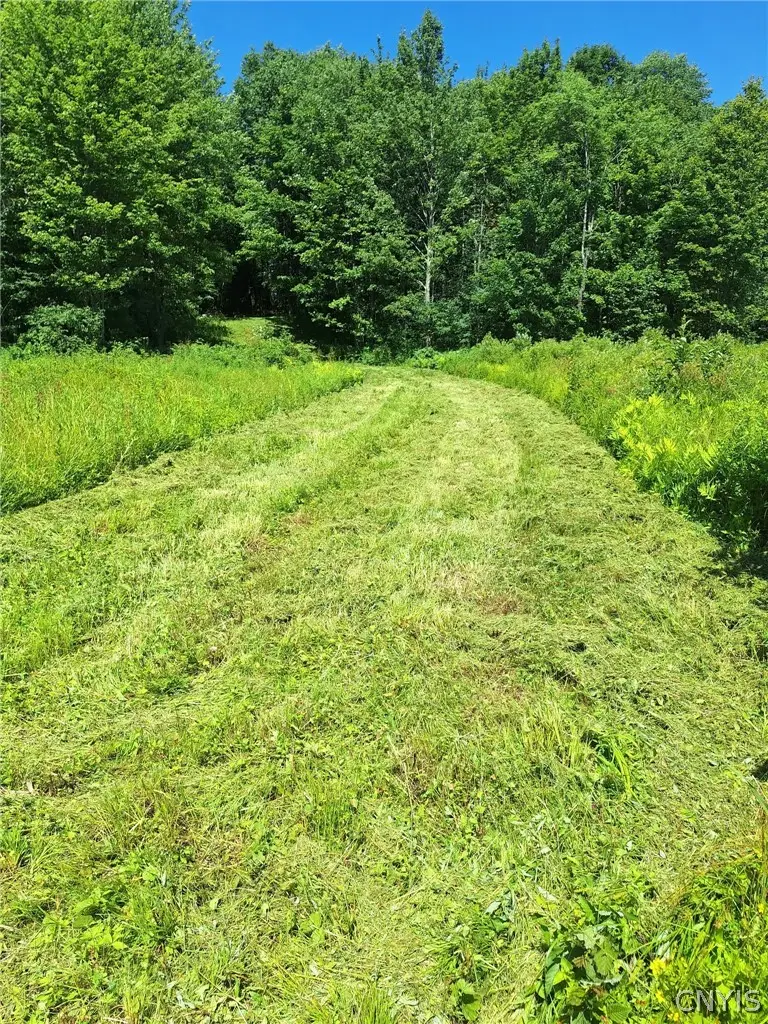 6 Streiff Road, Ava, NY 13303 - #2
