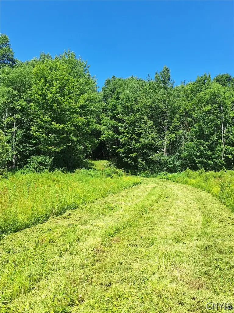 6 Streiff Road, Ava, NY 13303 - #3