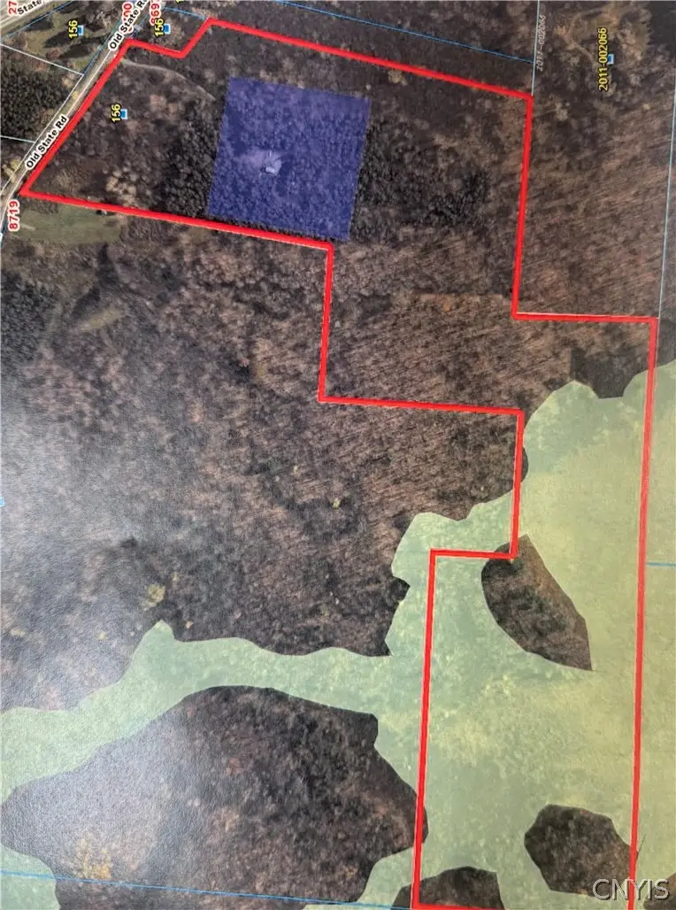 8707 Old State Road, Copenhagen, NY 13626 - #1
