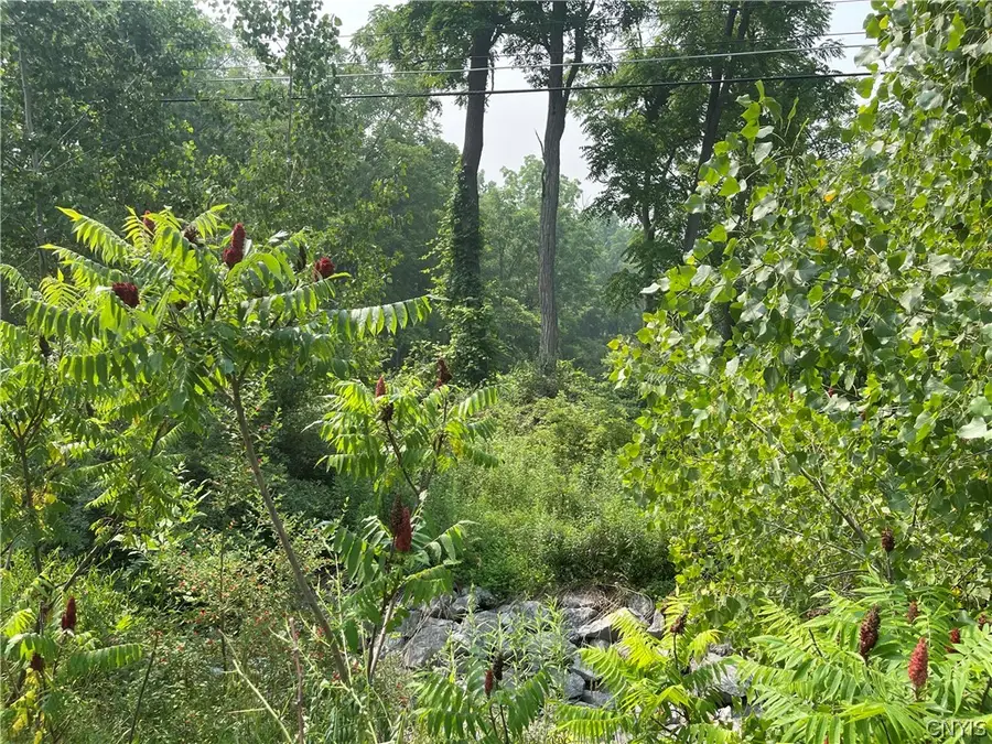 9488 Rt-90, Genoa, NY 13071 - #2