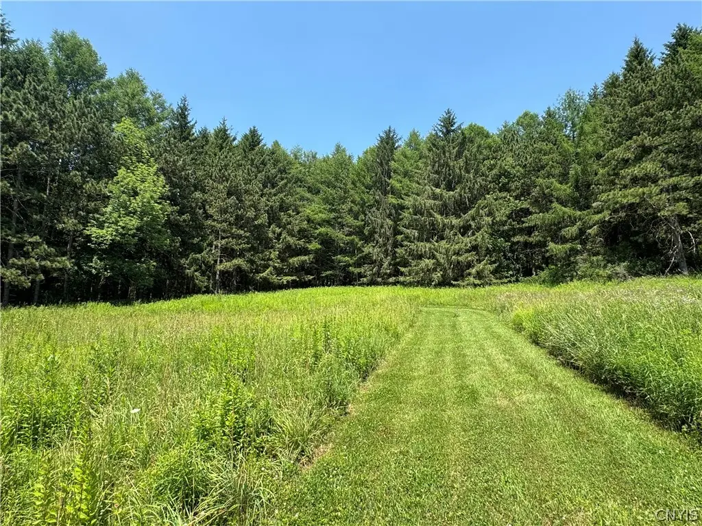 2 Bonney Hill Rd Road, Hamilton, NY 13346 - #1