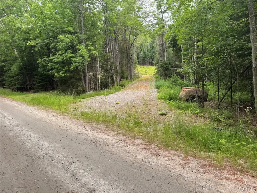 L@# Lake Snow Road, Indian Lake, NY 12842 - #2