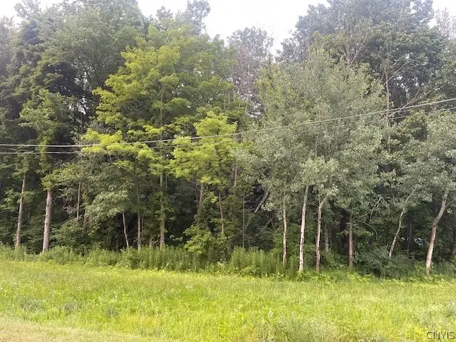 Chase Road, Fulton, NY 13069 - #3