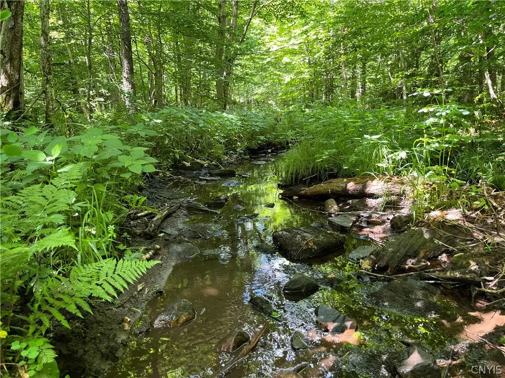 E Of Town Line Road, Lorraine, NY 13659 - #1