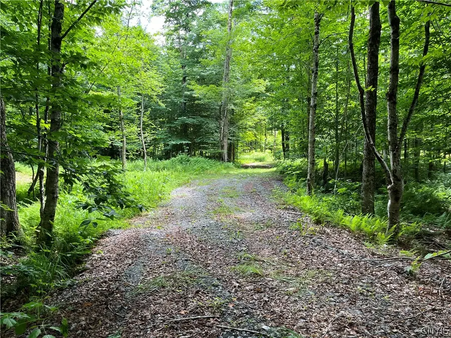 E Of Town Line Road, Lorraine, NY 13659 - #2
