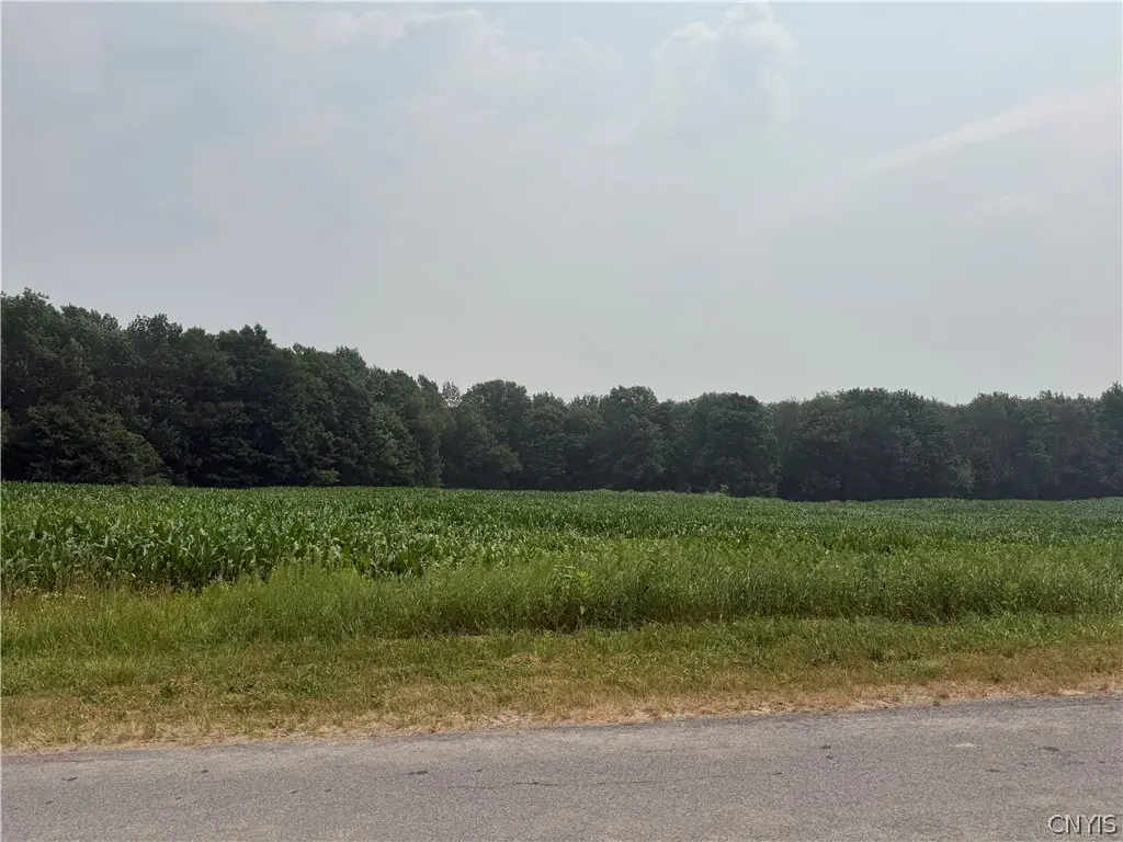 Whiskey Lane, Turin, NY 13473 - #1
