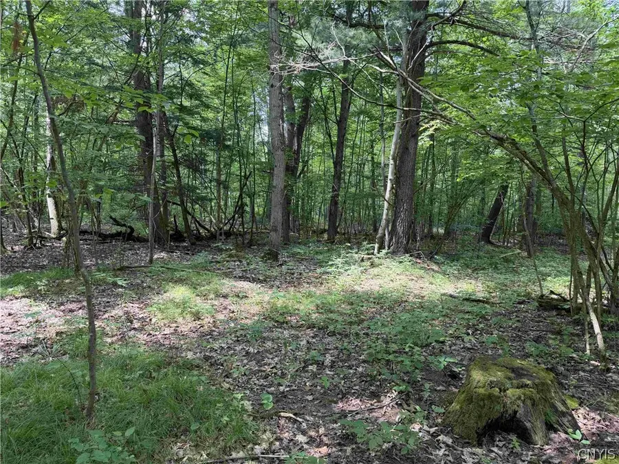 Cr-17, Belfast, NY 14711 - #3