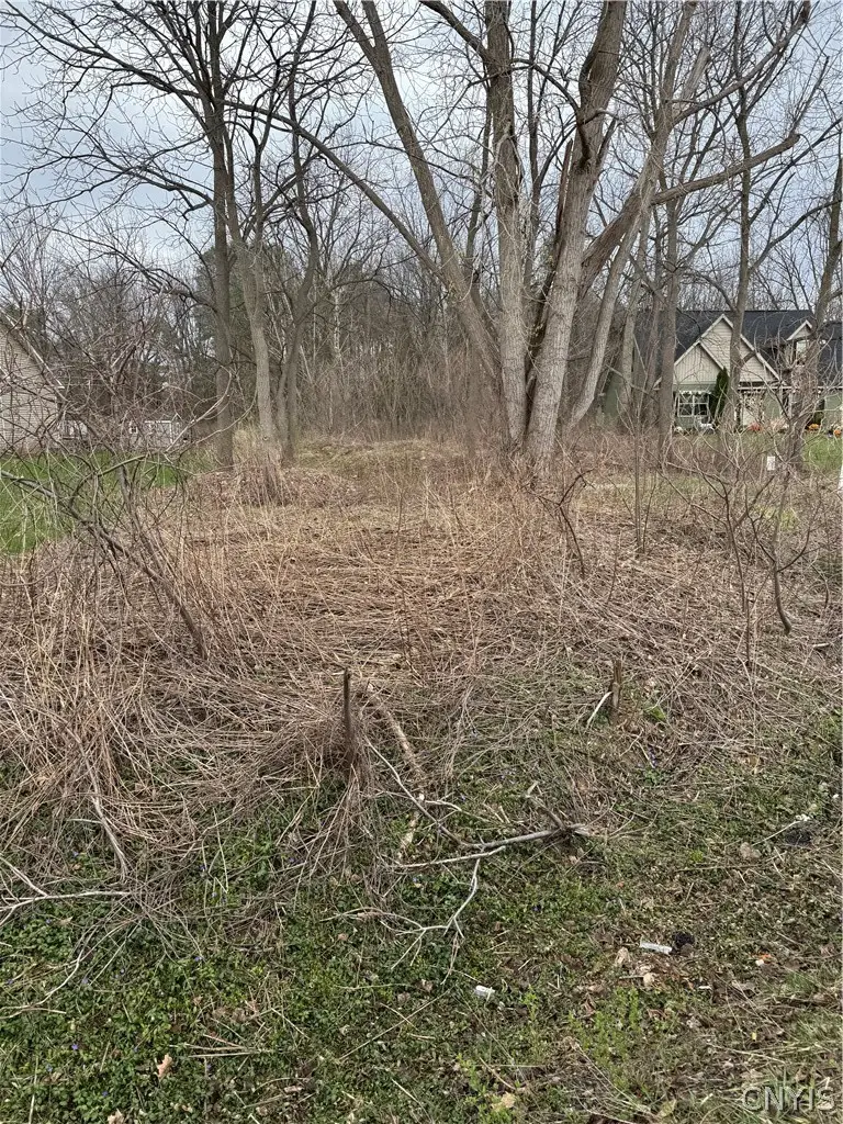 7364 Buckley Road, Syracuse, NY 13212 - #1