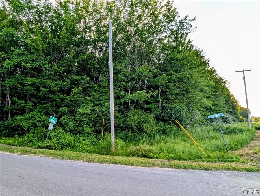 0 Co Rt 28, Pulaski, NY 13142 - #2