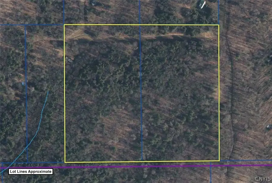 Putt Brook Road, Scio, NY 14880 - #3