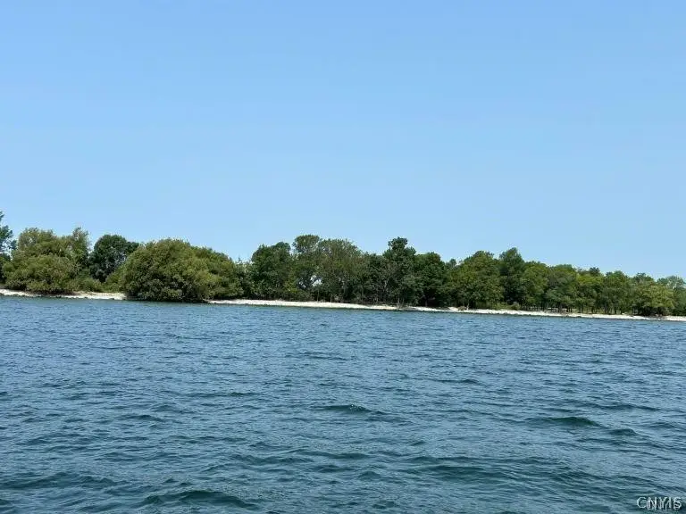 Fox Is-grenadier, Cape Vincent, NY 13618 - #1