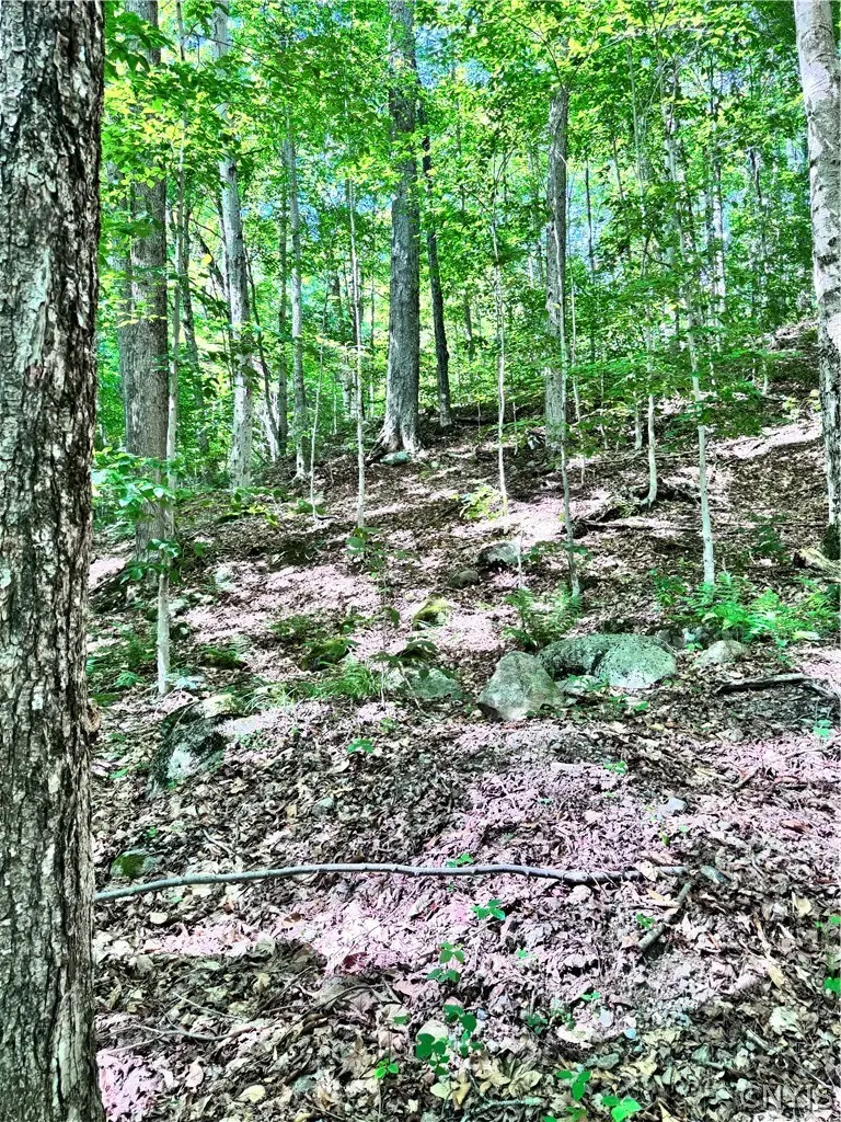 Oneida Road, Old Forge, NY 13420 - #1