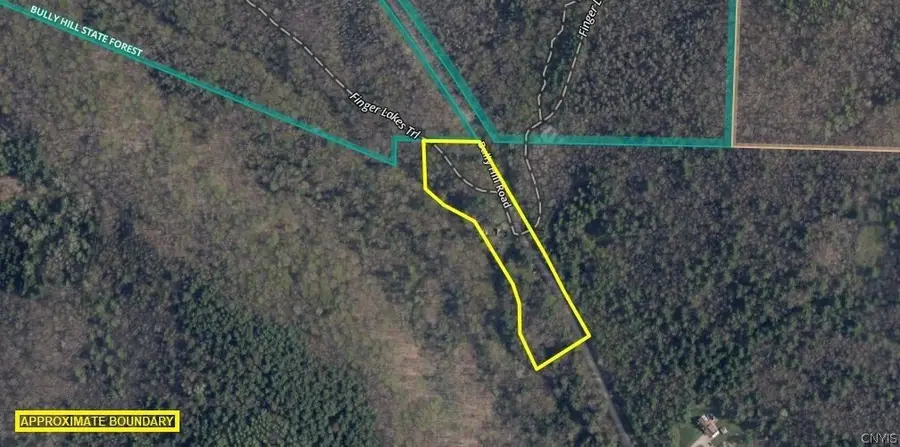 7581 Bully Hill Road, Almond, NY 14804 - #3