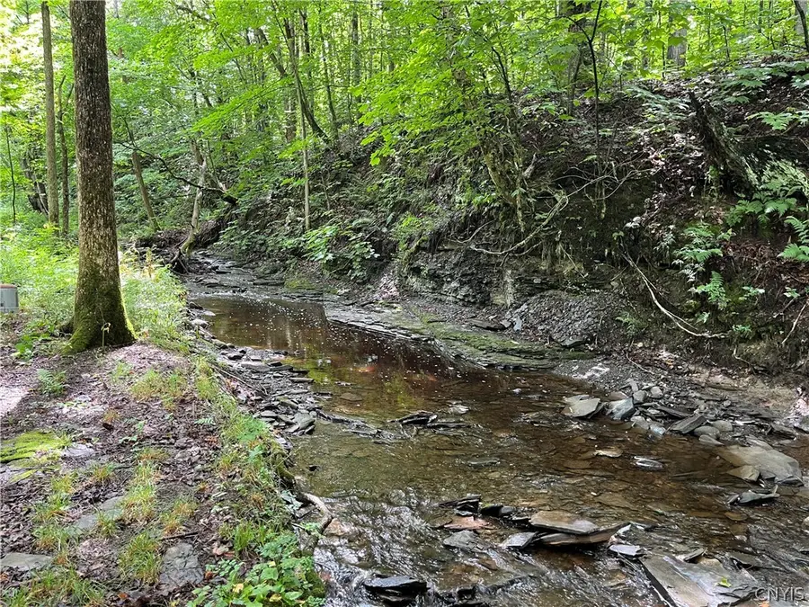 9657 Gardner Road, Copenhagen, NY 13626 - #3