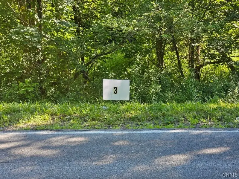 Lot 3 Rt 58, Mexico, NY 13114 - #1