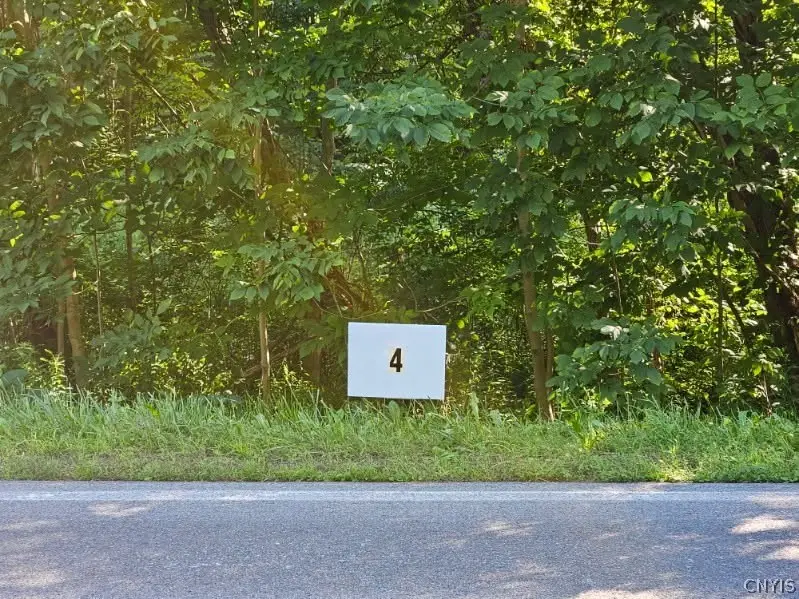 Lot 4 Rt 58, Mexico, NY 13114 - #1