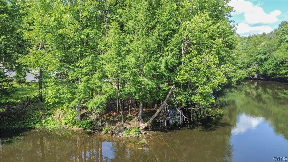 Parcel A Beaver Trail, Alder Creek, NY 13301 - #1