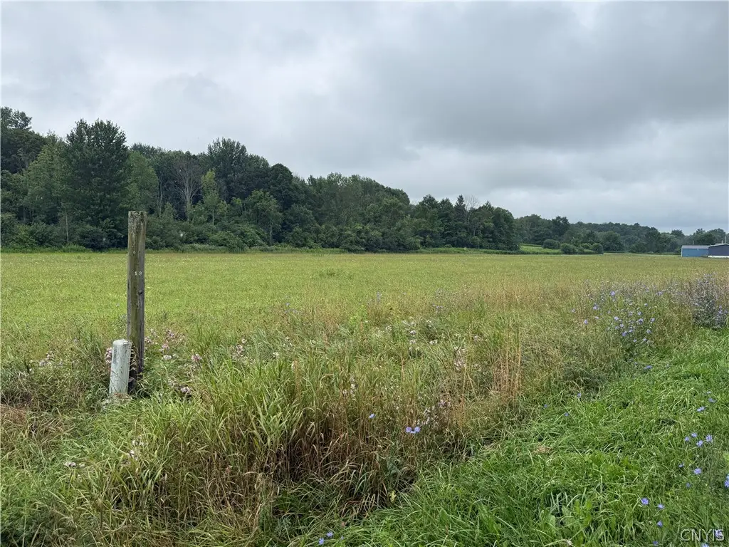 00 County Route 91, Pierrepont Manor, NY 13636 - #1