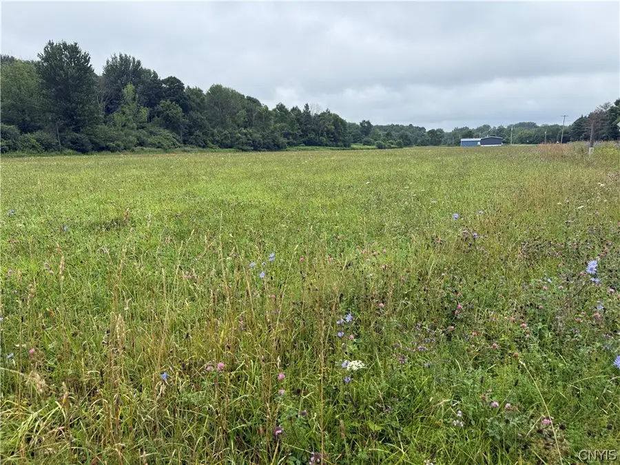 00 County Route 91, Pierrepont Manor, NY 13636 - #2