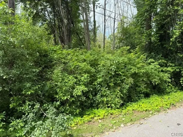 Mccracken Drive, Oswego, NY 13126 - #2