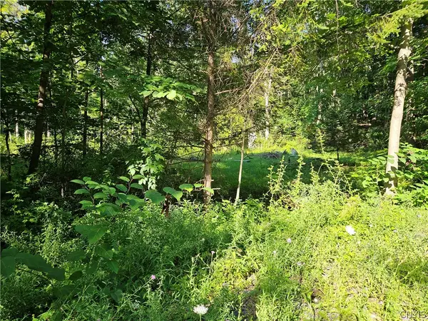 Stables Road, Fenner, NY 13035
