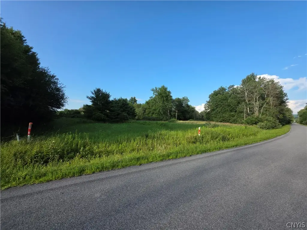 Loomis Road, Waterville, NY 13480 - #1