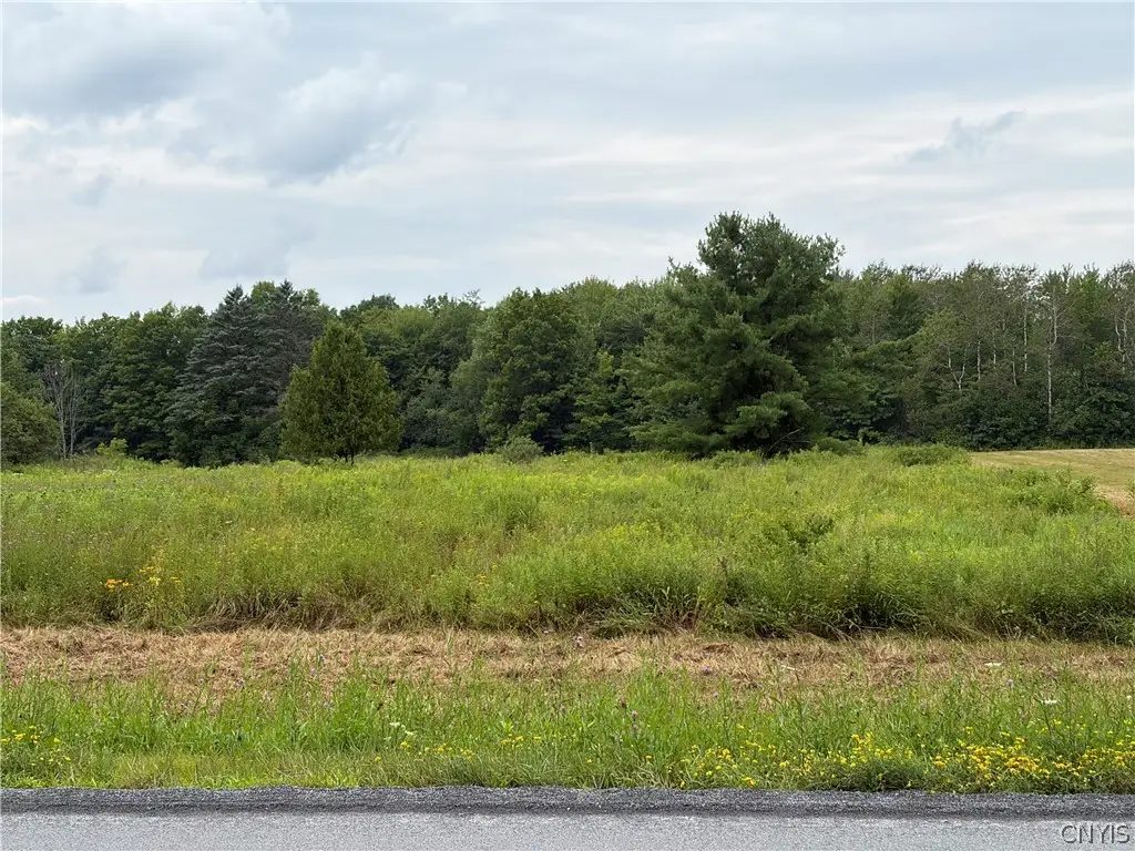 6569 Ives Road, Marcy, NY 13403 - #1