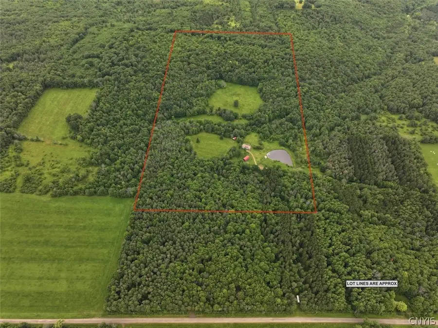 4221 Dineen Road, Friendship, NY 14739 - #3