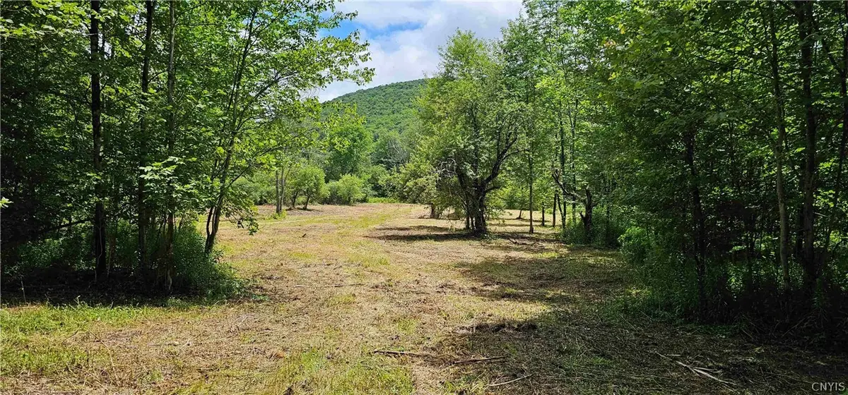 1233 State Route 221, Marathon, NY 13803 - #1