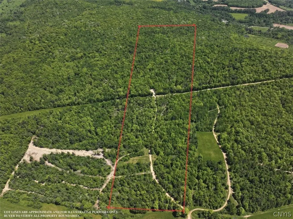 River Road, Belmont, NY 14813 - #1