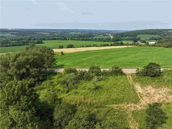 Ball Hill Road, South Dayton, NY 14138