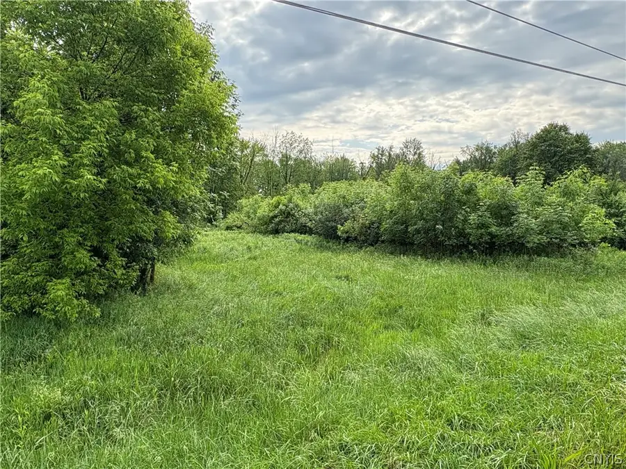 0 Eddy Road, Canastota, NY 13032 - #3