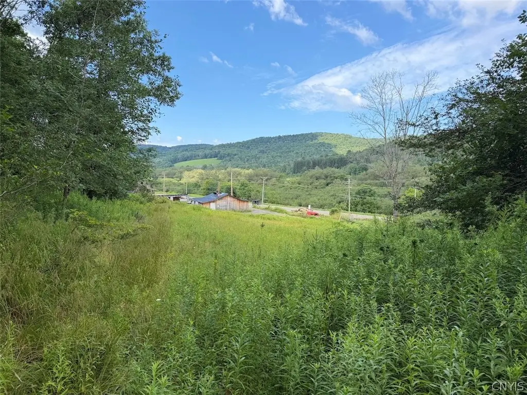 Ny-275, Bolivar, NY 14715 - #1