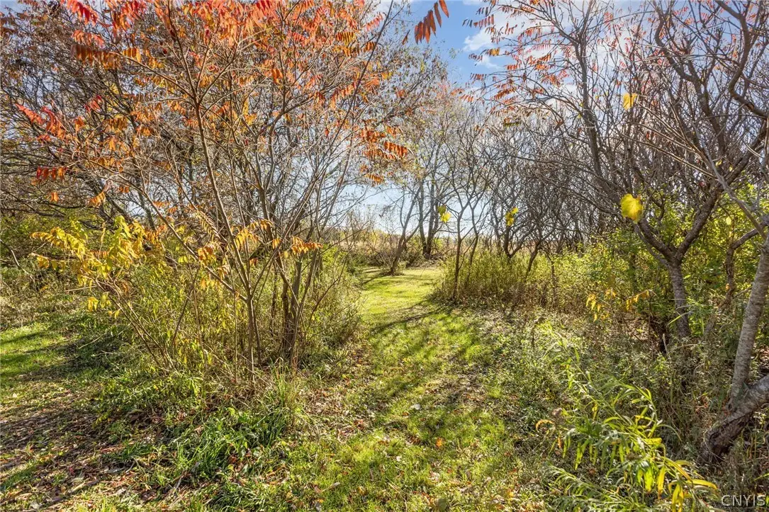 2680 Bear Swamp Road, Chittenango, NY 13037 - #1