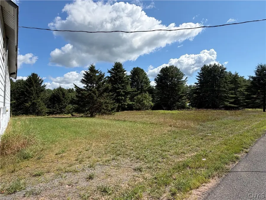 9225 Elpis Road, Camden, NY 13316 - #3