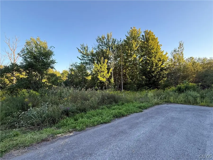 6652 Buckland Drive, Marcy, NY 13403 - #3