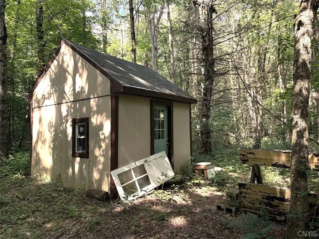 0 Briggs Road, Remsen, NY 13438 - #1