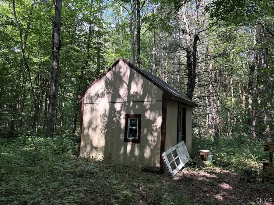 0 Briggs Road, Remsen, NY 13438 - #2