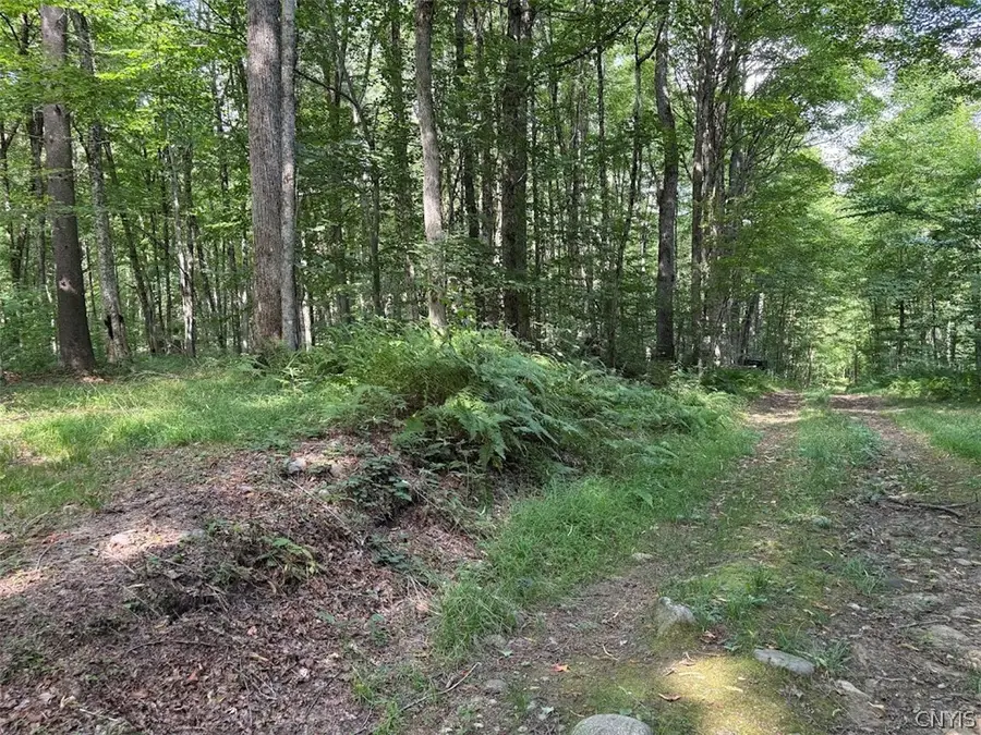 0 Briggs Road, Remsen, NY 13438 - #3