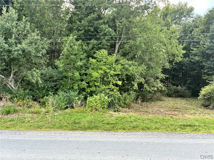 Lot 5 4457 East Road, Turin, NY 13473 - #3