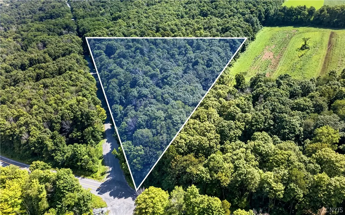 Becker Road, Skaneateles, NY 13152 - #1