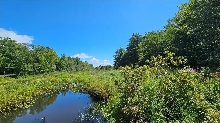 0 Fishermans Bridge Road, Williamstown, NY 13493 - #3