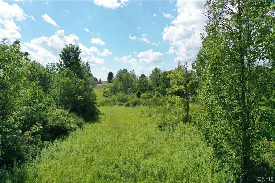 Lot 463 Oran Station Road, Manlius, NY 13104 - #3