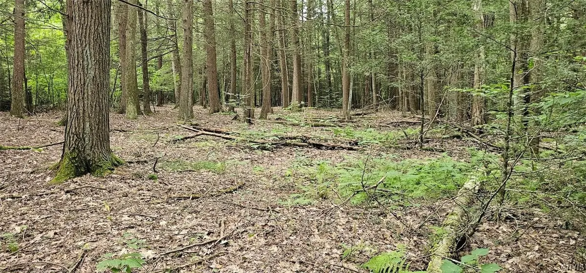 Union Hill Road, Candor, NY 13743 - #1