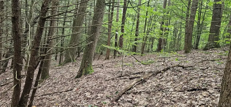 Union Hill Road, Candor, NY 13743 - #3