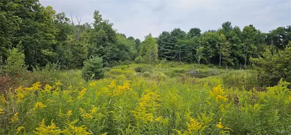 1569 Oakdale Road, Johnson City, NY 13790