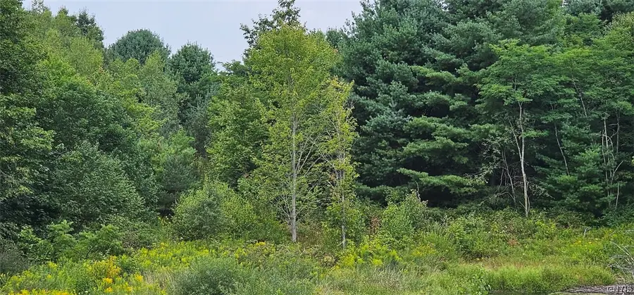1569 Oakdale Road, Johnson City, NY 13790 - #2