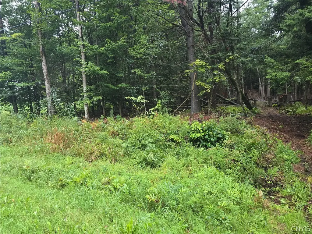 Burton Road, Camden, NY 13316 - #1