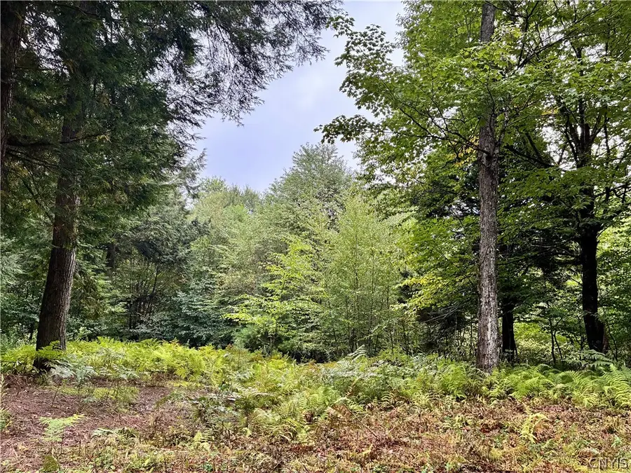 9565 Hopkins Road, Camden, NY 13316 - #3