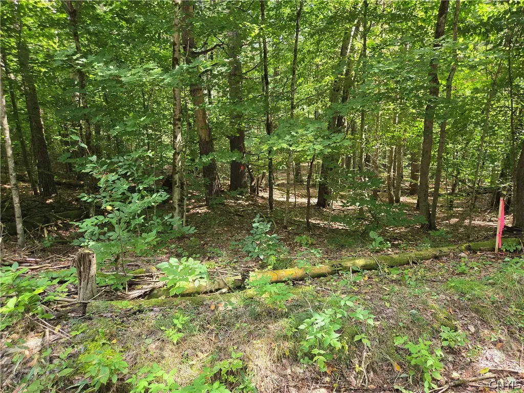 Lot #1 George Hill Road, Glenfield, NY 13343 - #1
